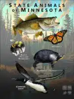 State Animals of Minnesota poster print