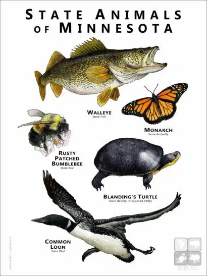 State Animals of Minnesota poster print