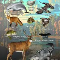 Mississippi State Animals poster