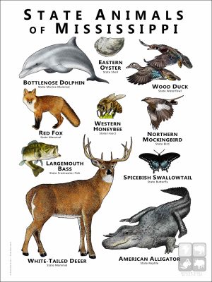 Mississippi State Animals poster