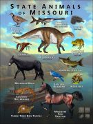 Missouri State Animals poster