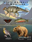 Montana State Animals poster