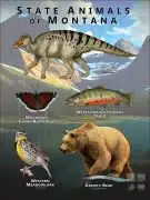 Montana State Animals poster