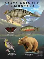 Montana State Animals poster