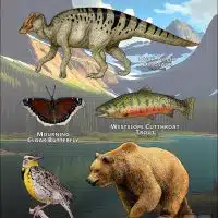 Montana State Animals poster