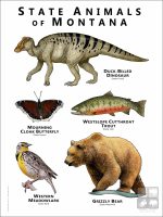 Montana State Animals poster