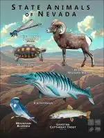 Nevada State Animals poster