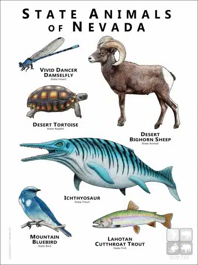 Nevada State Animals poster