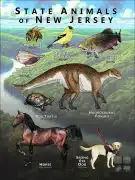 New Jersey State Animals poster