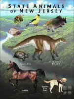 New Jersey State Animals poster