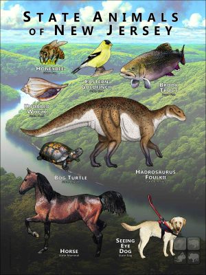 New Jersey State Animals poster