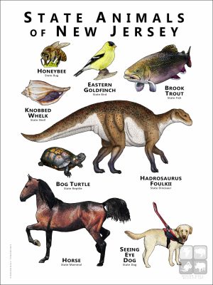 New Jersey State Animals poster