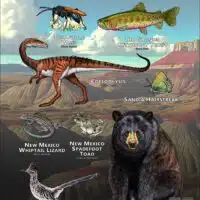 State Animals of New Mexico poster print