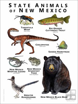 State Animals of New Mexico poster print