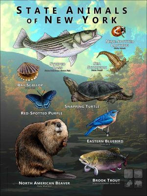 State Animals of New York poster print