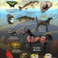 State Animals of North Carolina poster print