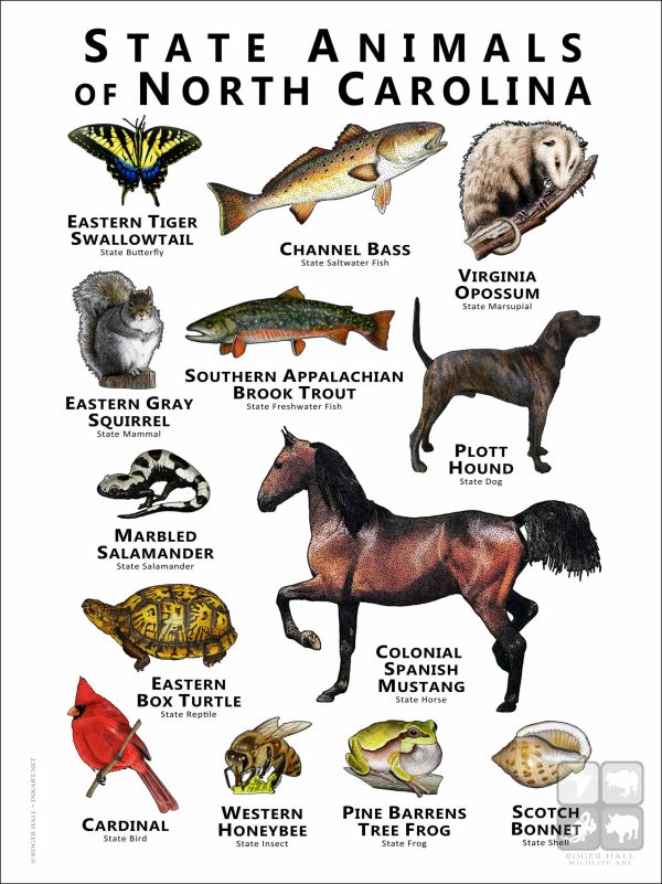 State Animals of North Carolina poster print
