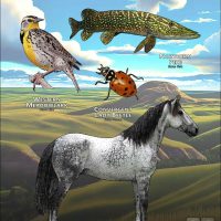 State Animals of North Dakota poster print