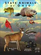 State Animals of Ohio poster print