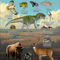 State Animals of Oklahoma poster print