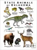 State Animals of Oklahoma poster print