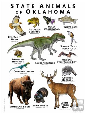 State Animals of Oklahoma poster print