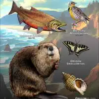 State Animals of Oregon poster print