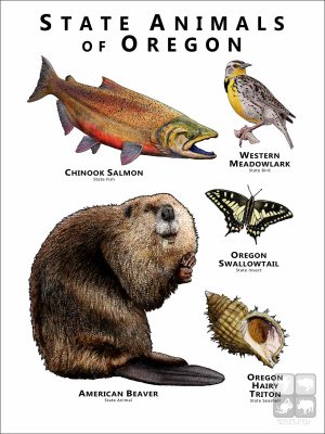 State Animals of Oregon poster print