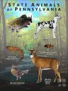 State Animals of Pennsylvania poster print
