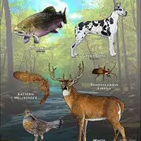 State Animals of Pennsylvania poster print