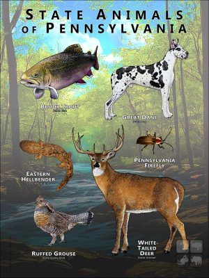 State Animals of Pennsylvania poster print