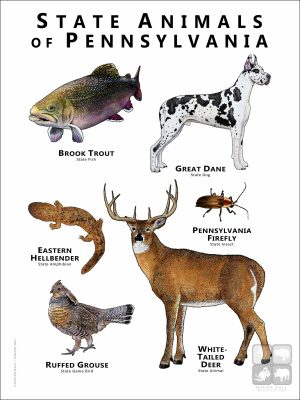 State Animals of Pennsylvania poster print