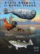 State Animals of Rhode Island poster print