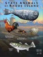 State Animals of Rhode Island poster print