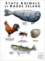 State Animals of Rhode Island poster print