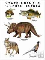 State Animals of South Dakota poster print