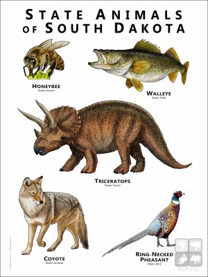 State Animals of South Dakota poster print