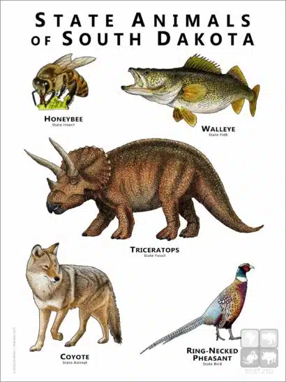 State Animals of South Dakota poster print