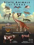 State Animals of Texas poster print