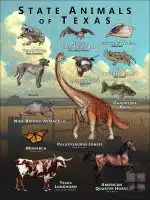 State Animals of Texas poster print