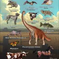 State Animals of Texas poster print