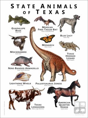 State Animals of Texas poster print