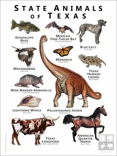 State Animals of Texas poster print