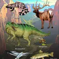 State Animals of Utah poster print