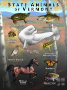 State Animals of Vermont poster print