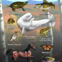 State Animals of Vermont poster print