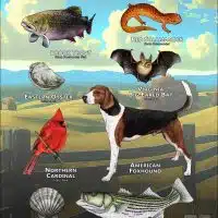 State Animals of Virginia poster print