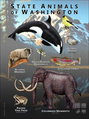 State Animals of Washington state poster print