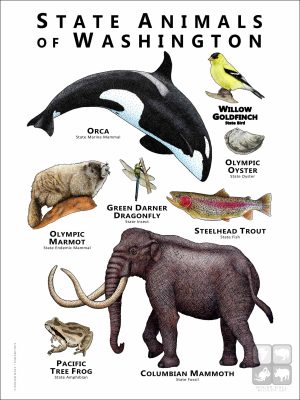State Animals of Washington state poster print