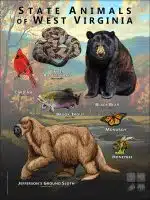 State Animals of West Virginia poster print